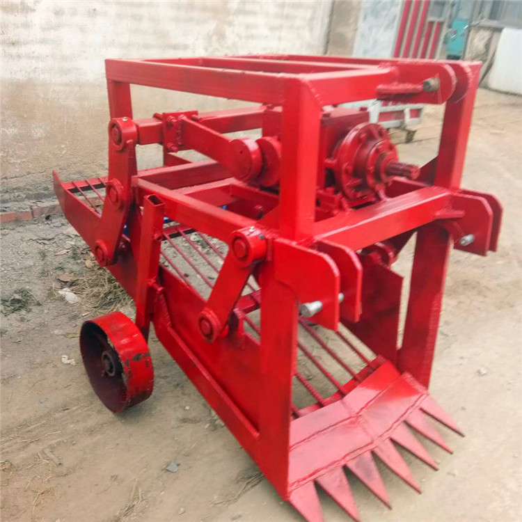 白芷药材收获机 白芷出土机根茎挖掘收获机