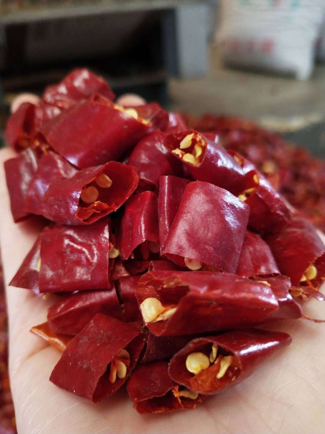 产地货源辣椒段内黄新一代火锅底料调味料干辣椒海椒节500g