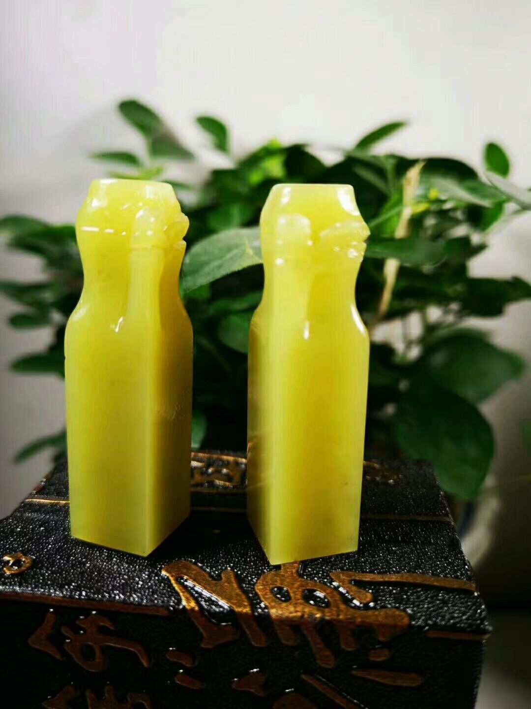 3538号龙蛋石竹子对章1.5*1.5*5cm配盒子质地通透收藏礼品章