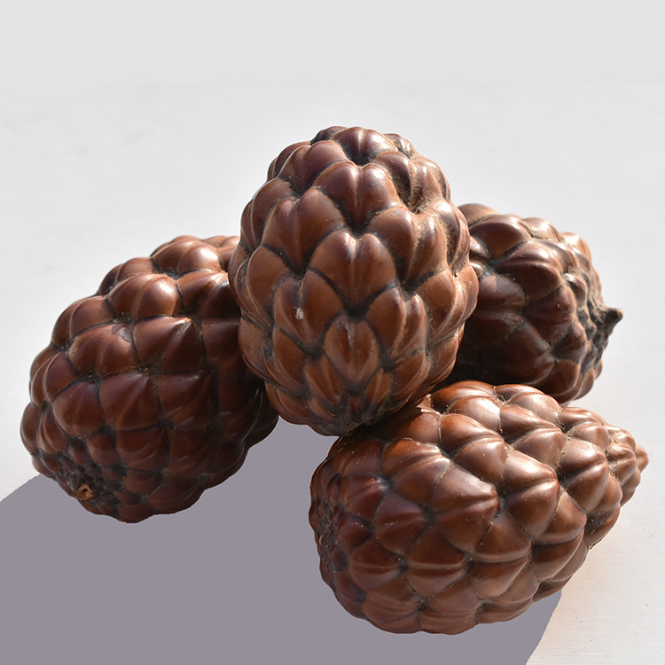 天然铁树籽文玩手串 菩提子原籽 手把件把玩