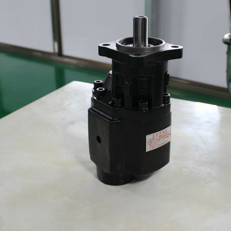 专业生产液压单向齿轮泵 厂家供应质量保证 高压齿轮泵