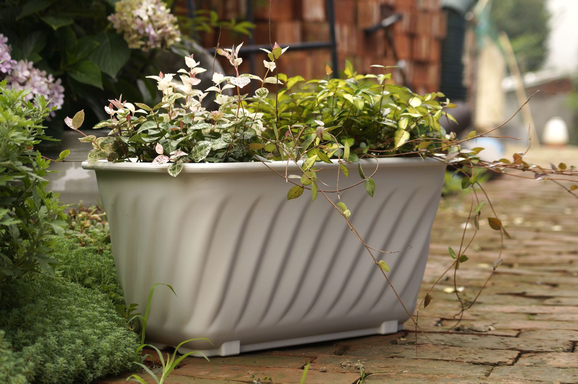 供应绿化工程阳台花盆菜盆长槽长方形花盆花槽新料加厚园艺盆栽