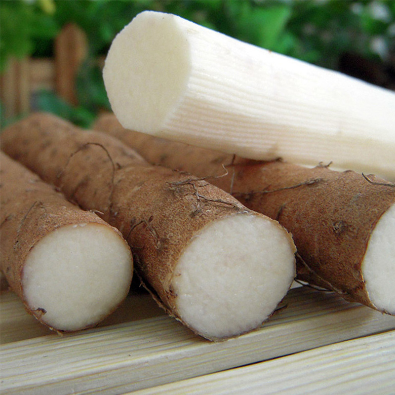 温县铁棍淮山药5斤礼盒 河南特产焦作新鲜铁杆怀山约棒