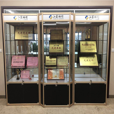 宁波支持定做 荣誉展示柜 奖杯奖牌展示架 公司勋章展柜 厂家直销