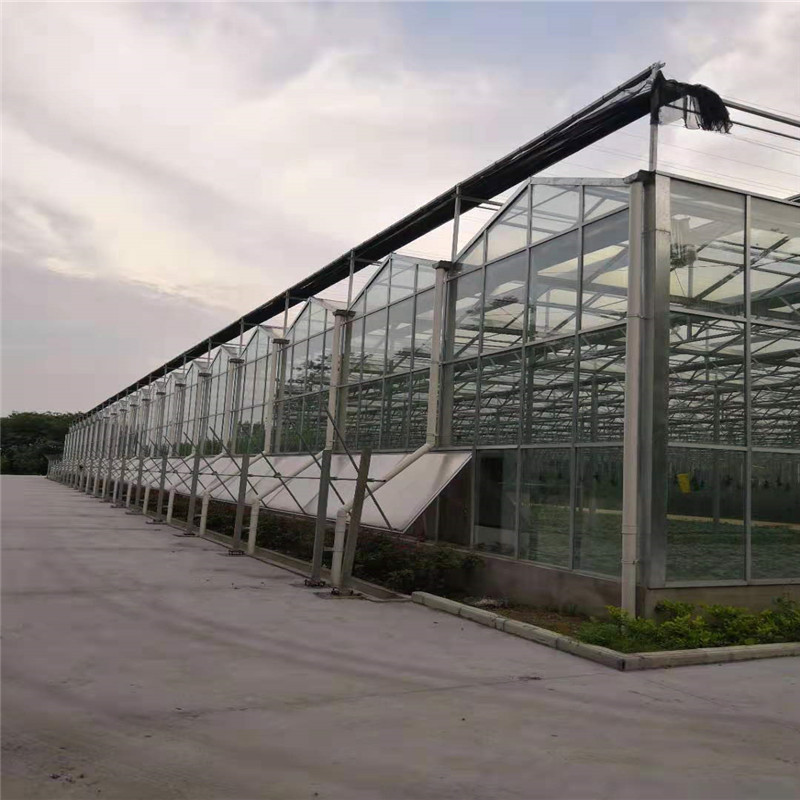 厂家 现代钢结构玻璃墙面屋顶阳光房大棚温室专用坡顶建筑设计