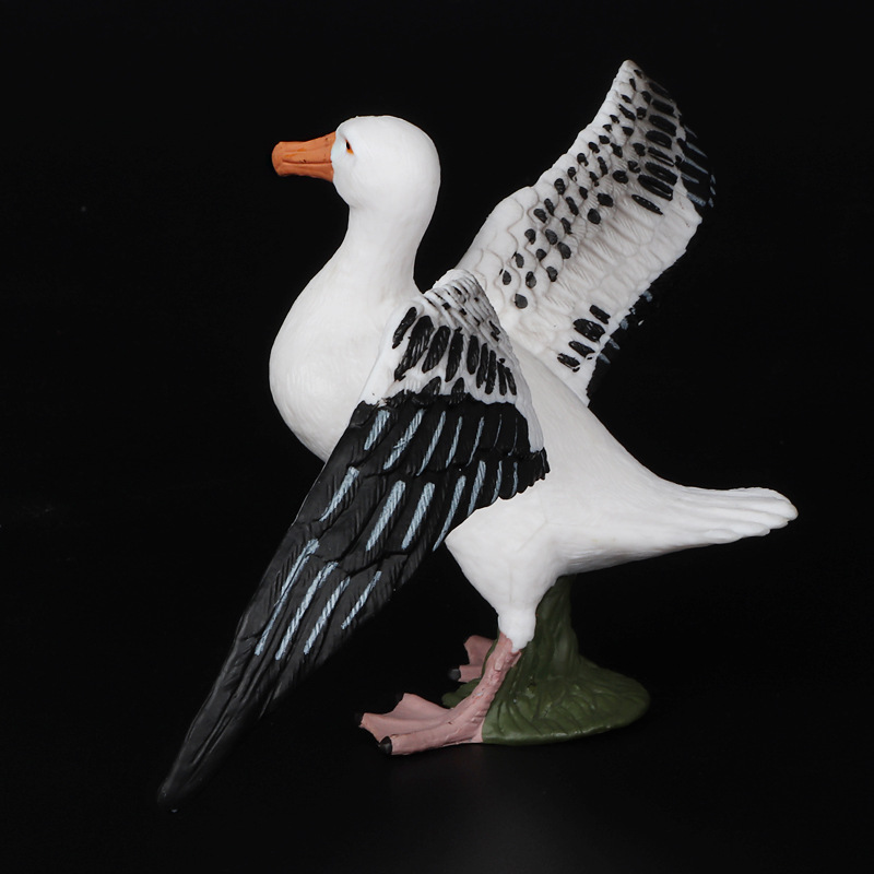 新品仿真动物模型 鸟类 信天翁大型海鸟塑料实心儿童认知科教摆件