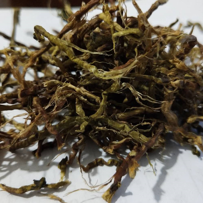 飒枫供应山蜜草茶 长寿草 山密草 山蜜草 山蜜茶新货 大货批发