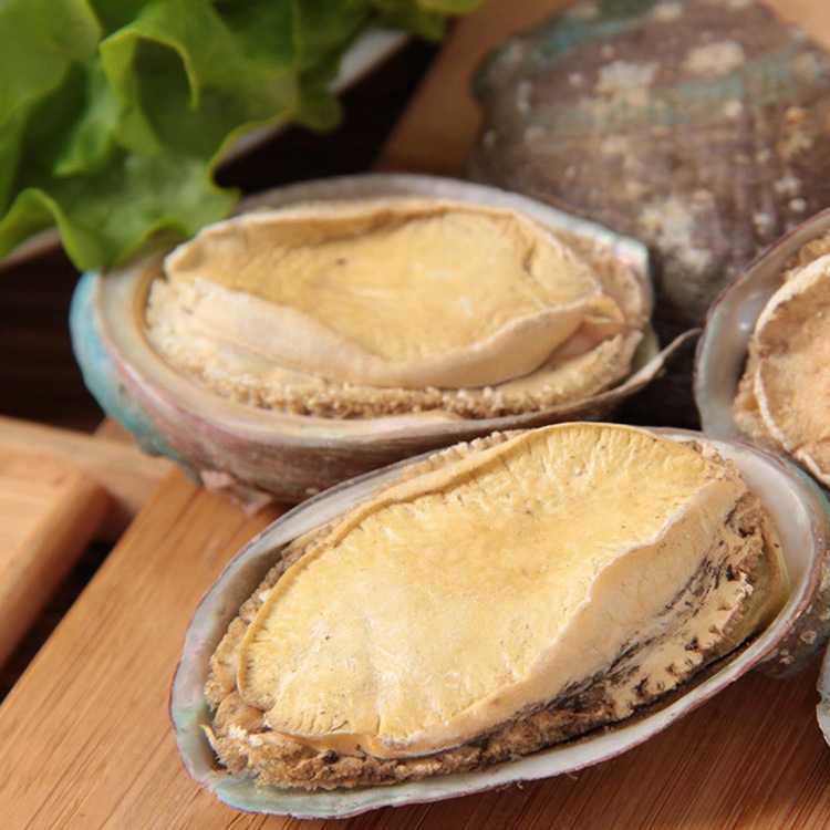 大连特产干海产品冻干鲍鱼50g带壳鲍鱼干水产干货海鲜批发