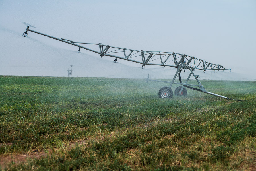 大田用水肥一体喷灌机绞盘式喷灌机卷盘式灌溉车 农用喷灌机