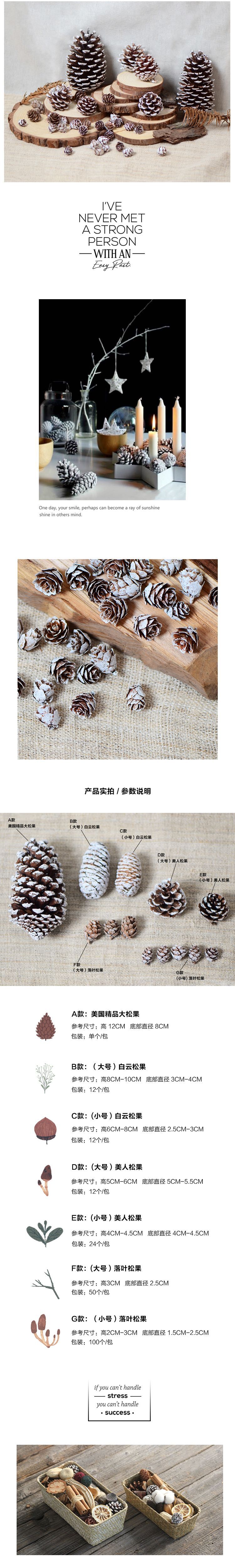 【雪花松果】圣诞树装饰白色松果圣诞节布置干花环材料松花松子果