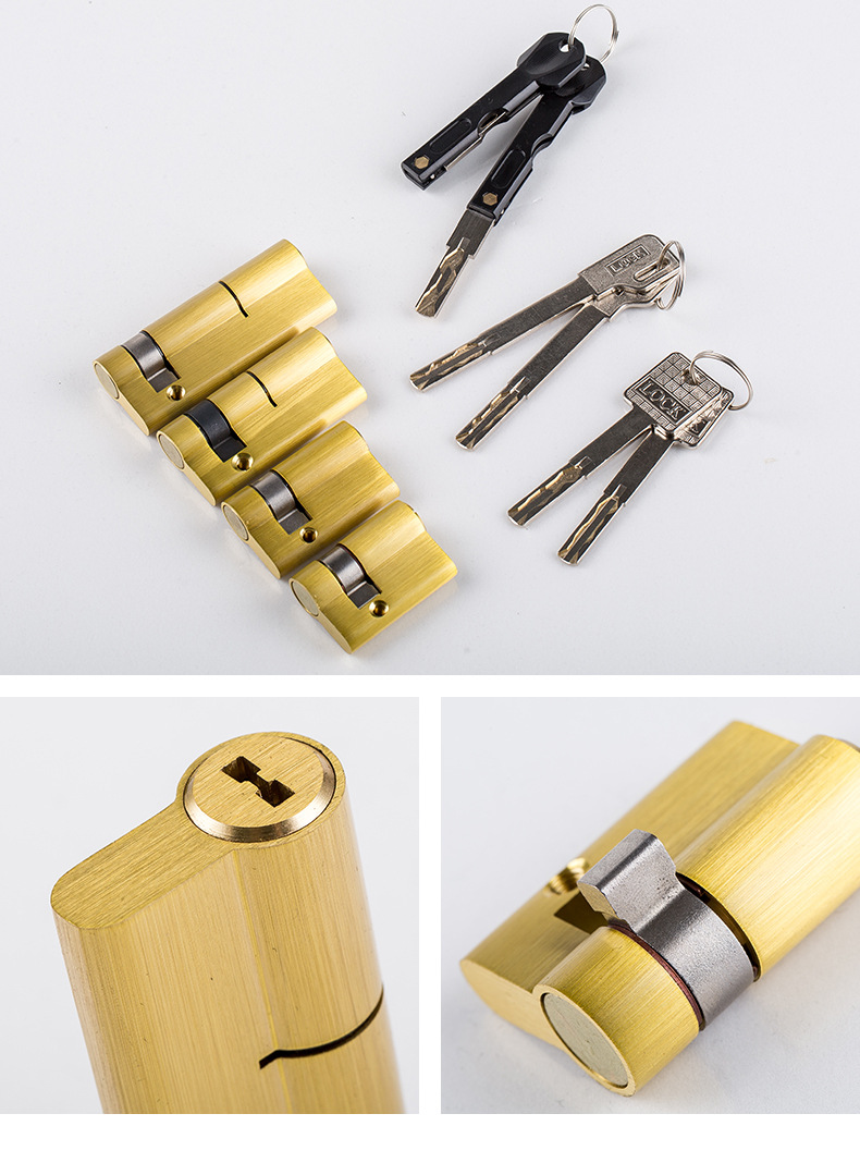 瑞盾厂家直销半截真插芯电子锁芯真插芯锁芯 铜锁芯电子锁指纹锁