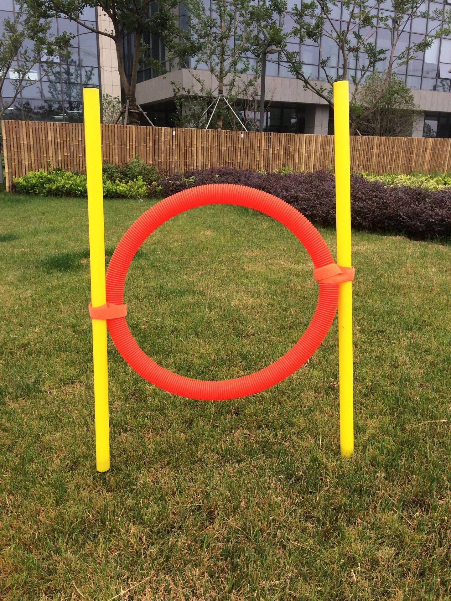ida013   pet tire jump hoop: ida013   specifications:   pole