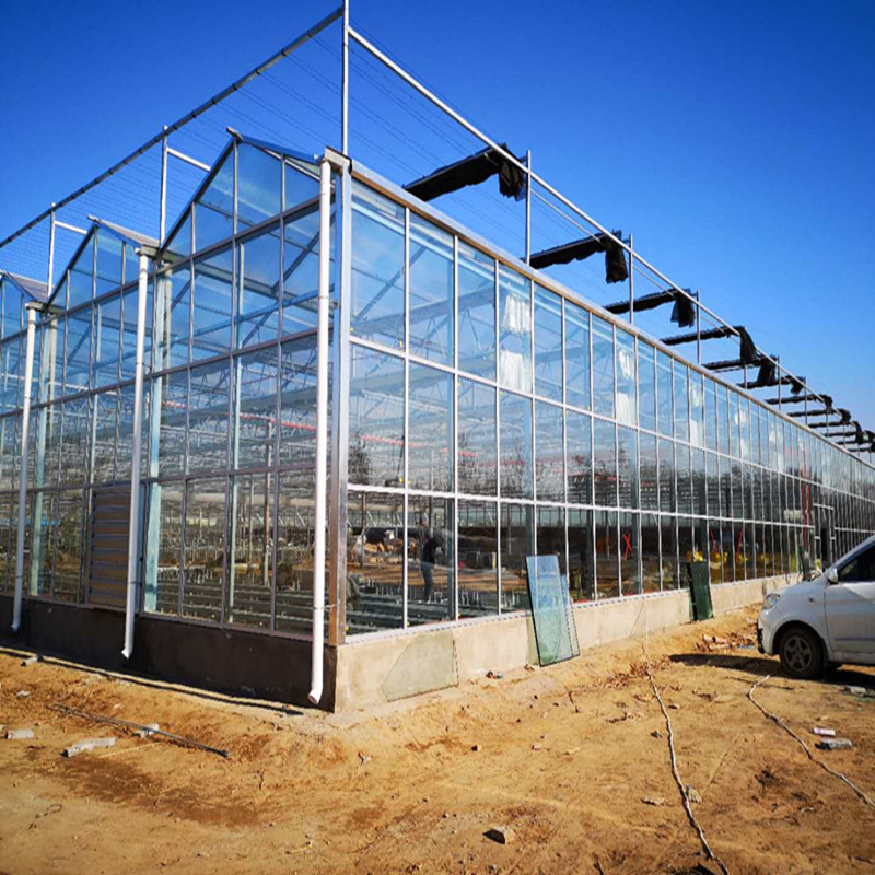 自动遮阳网电动