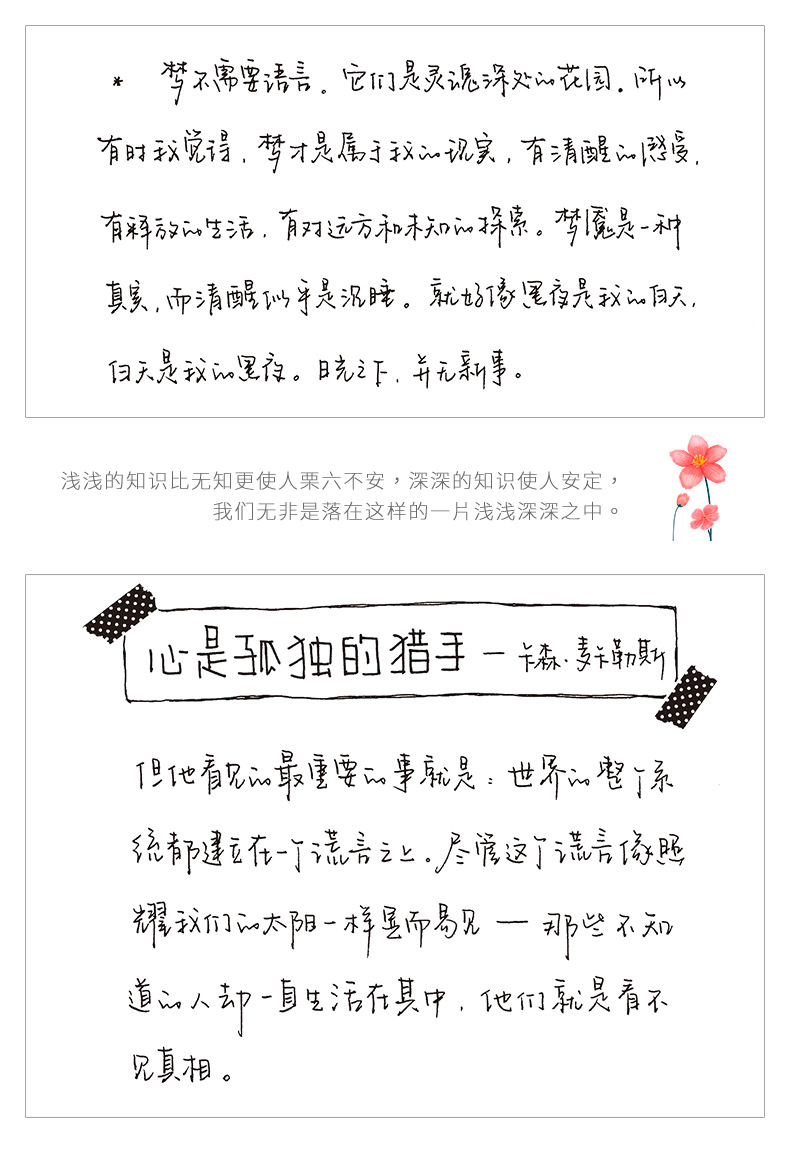 绍泽文化陈书凝手写体练字帖成人行书草书男女生漂亮小清新练字本