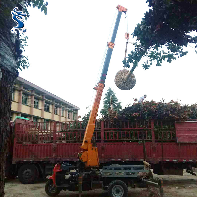 吊树用的三马车 3吨5吨三轮背树背背车 九麟厂家支持定做