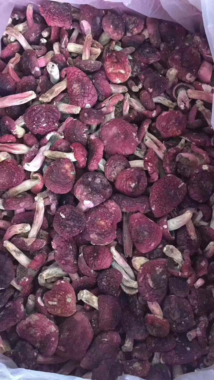 云南红菇产地批发云南标菇红蘑菇月子食用菌多规格散装250克