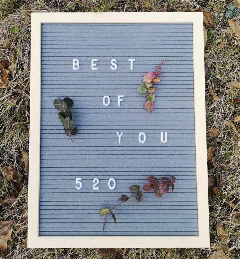 跨境手工毛毡字母留言板felt letterboard木制相框含460字母大