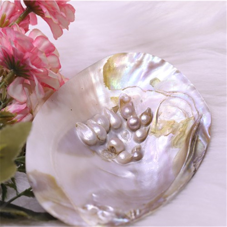 厂家直销批发淡水珍珠河蚌壳贝壳珍珠蚌壳抛光打磨饰品工艺品原料