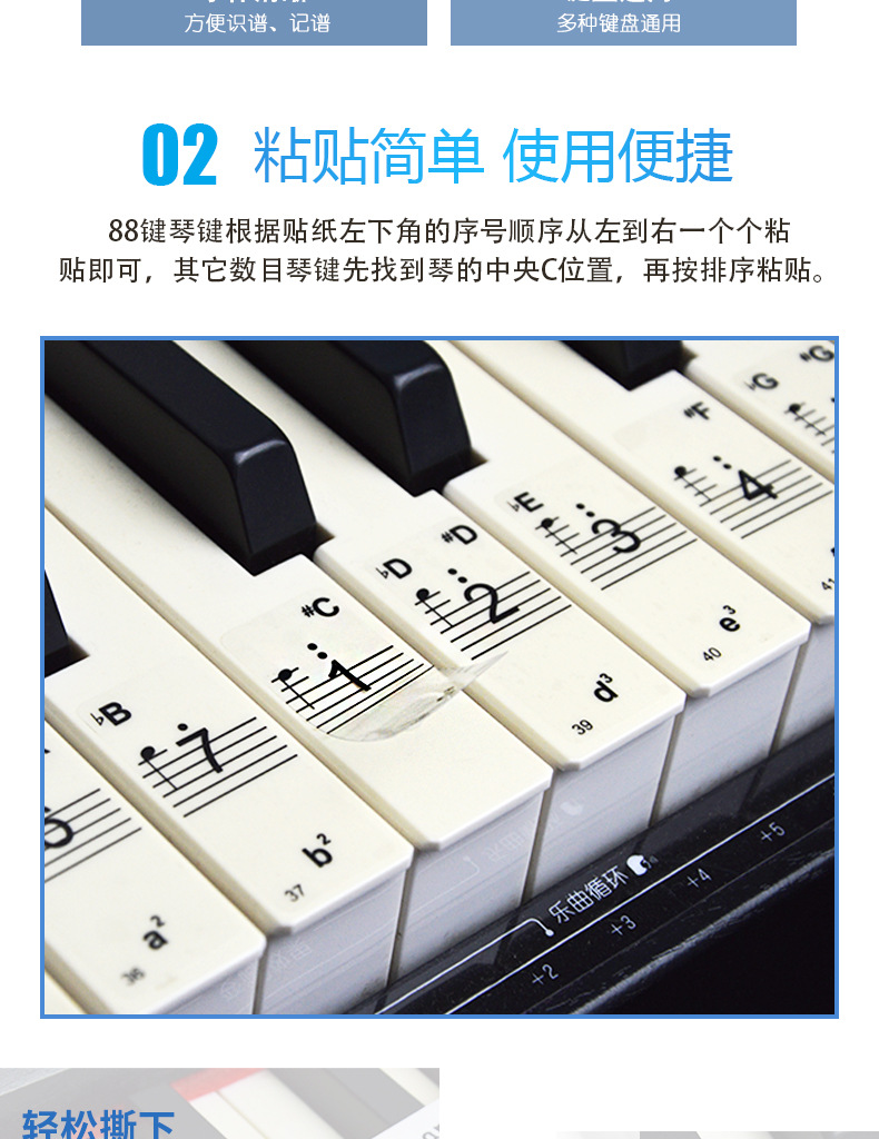 批发初学钢琴键盘贴五线谱贴纸简谱贴电子琴电钢手卷钢琴键盘贴纸