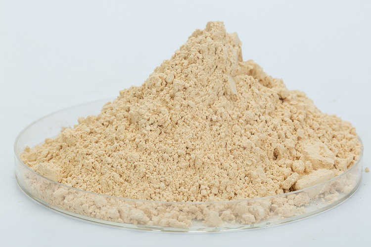 杏鲍菇粉超细粉味纯用于食品