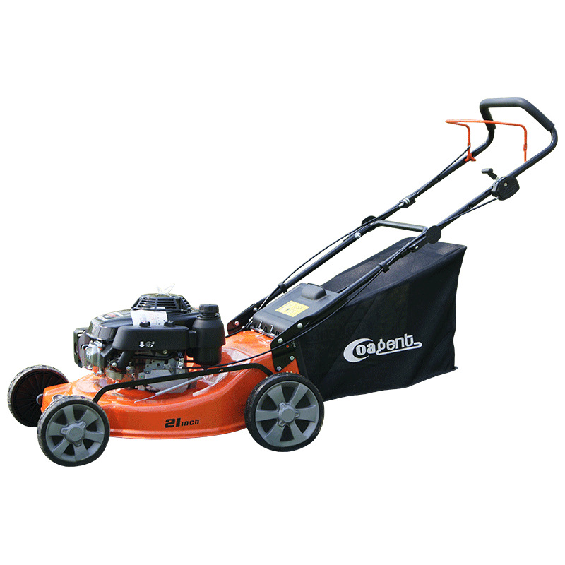 本田动力gxv160草坪机手推式割草机打草机汽油四冲程发动机剪草机