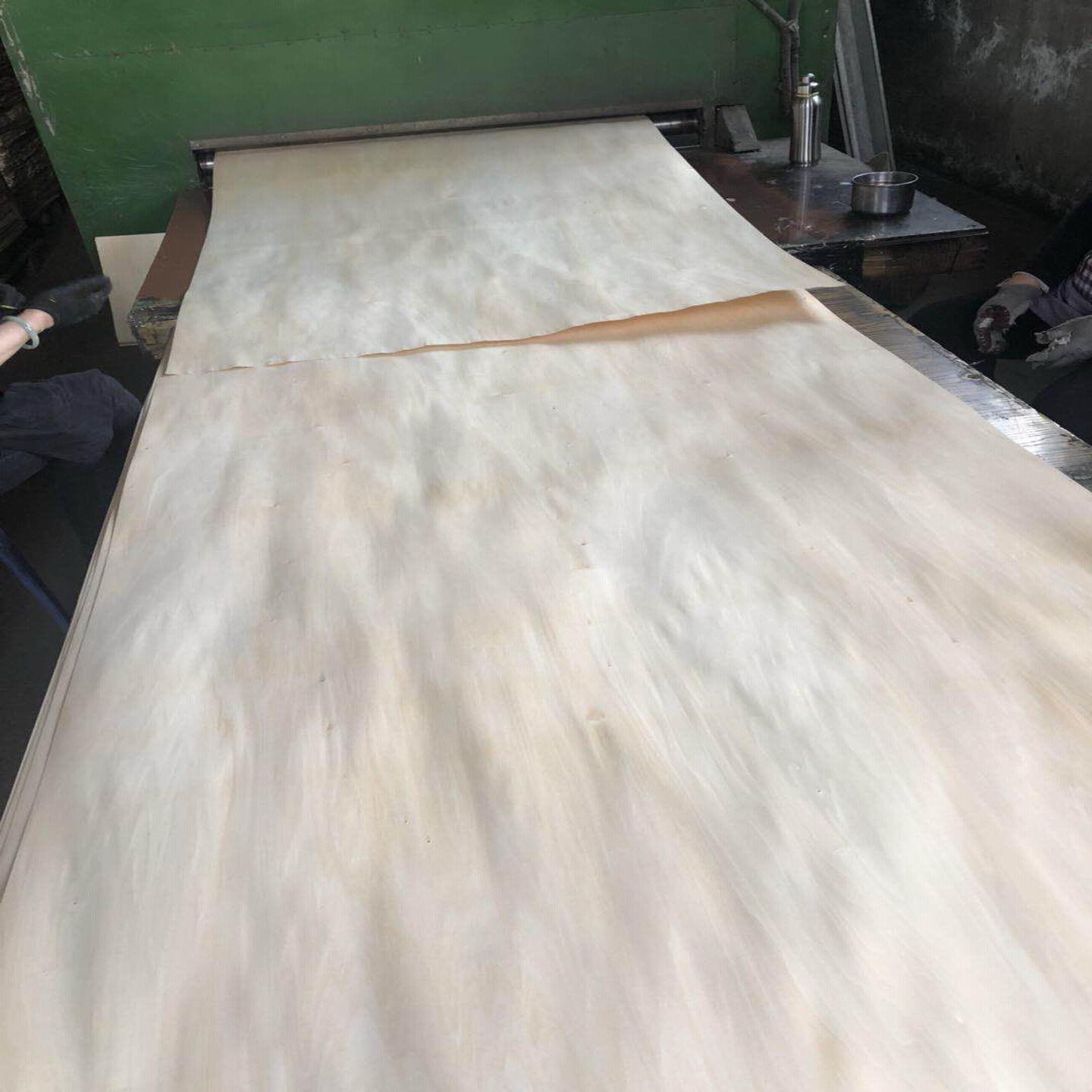 热销供应椴木0.5mm木皮 优质东北椴木单板免漆板