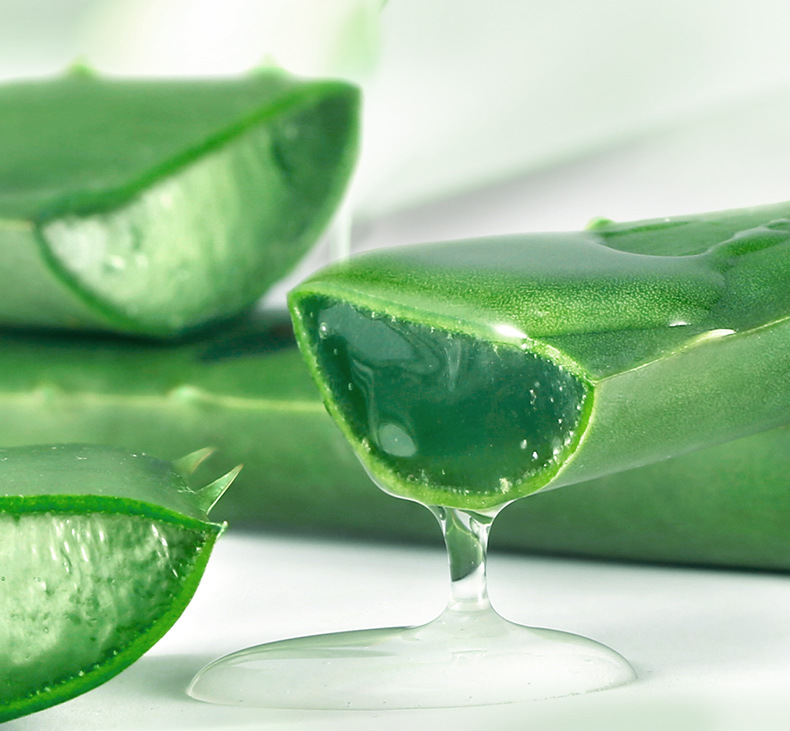 冰菊芦荟修护护肤品六件装收缩毛孔补水护肤套装礼盒秋冬护肤代发