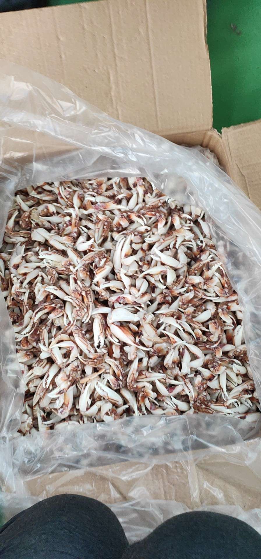 批发供应冷冻蟹钳花蟹钳醉蟹钳麻辣蟹脚捞汁海鲜麻辣食材原料供应