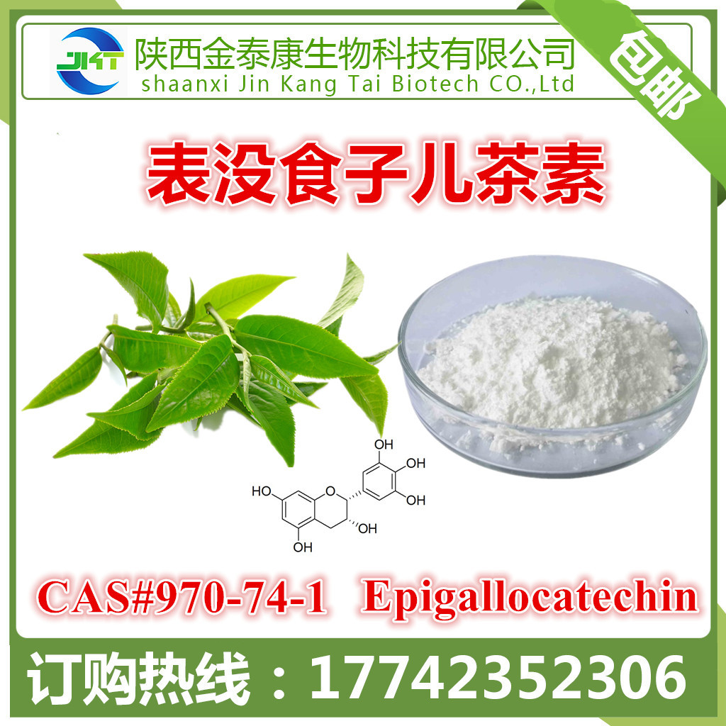 绿茶提取物表没食子儿茶素egc98100g每袋
