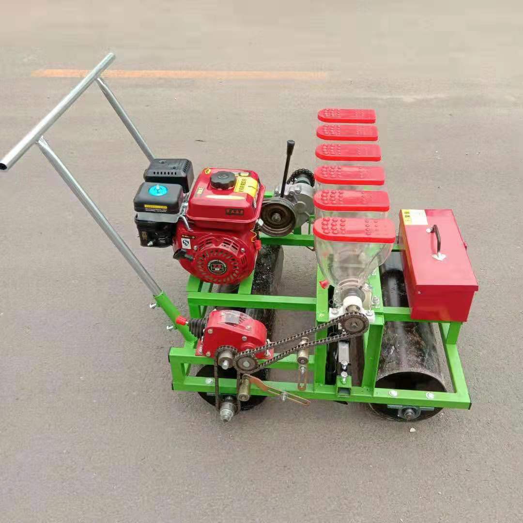 小粒种子蔬菜药材精播机 手推电动油菜甜菜播种机 菠菜精密播种机