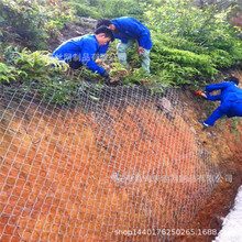 团粒结构植被混泥土绿化镀锌铁丝网喷浆机编网矿山复绿护坡勾花网