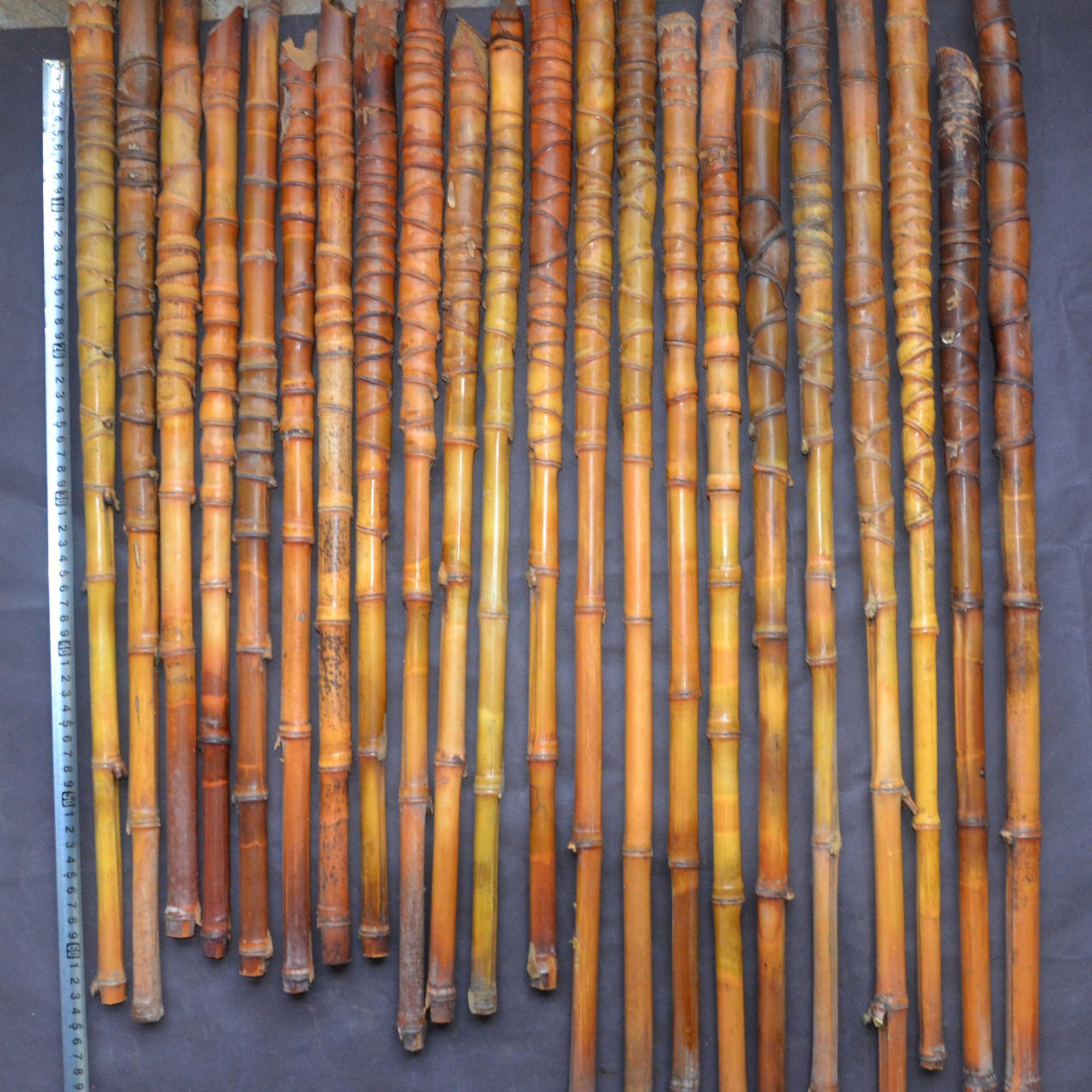 特价100根罗汉竹钓鱼竿手把竹手杖原材料龟甲竹罗汉竹扇骨碳化竹