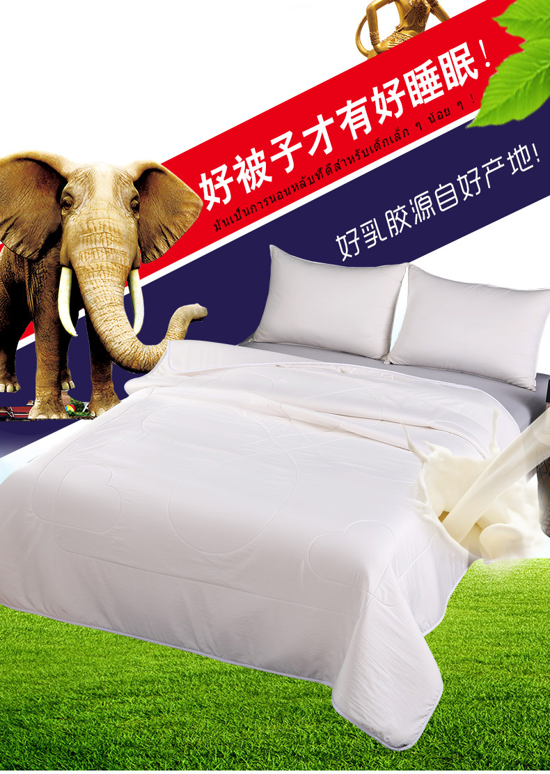 泰国皇家宇乳胶被四季被子单双人夏凉被被旅游会销礼品开团旅代发