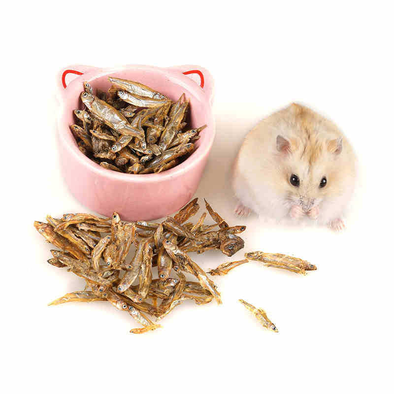 仓鼠粮仓鼠零食烘干鱼干乌龟水龟粮半水龟食物 淡水无盐小鱼干50g