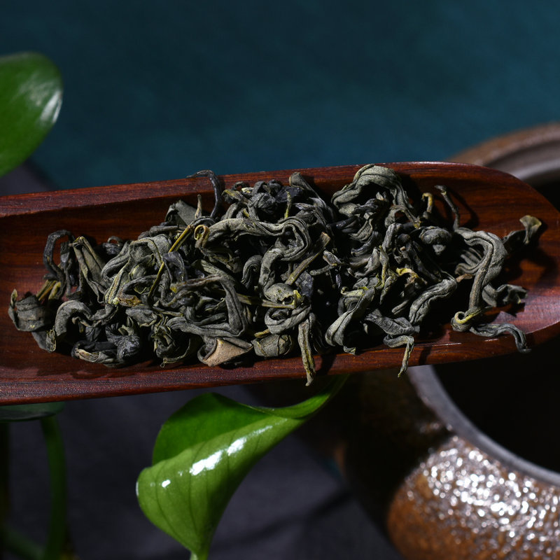 客家炒绿茶 400g灌装素绿茶 礼品包装炒绿茶