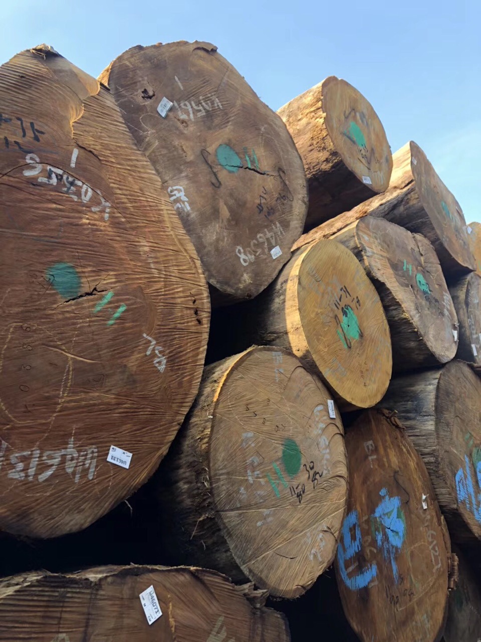 进口黄云香原木,巴蒂,金丝柚,户外防腐木 非洲黄檀 可加工定制