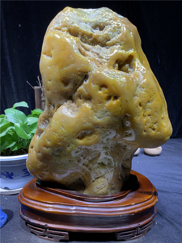黄蜡石天然大型石摆件黄龙玉籽料观赏石玄关书房装饰黄色石头186