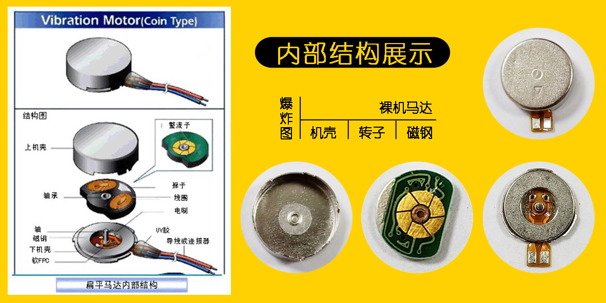 内部结构展示