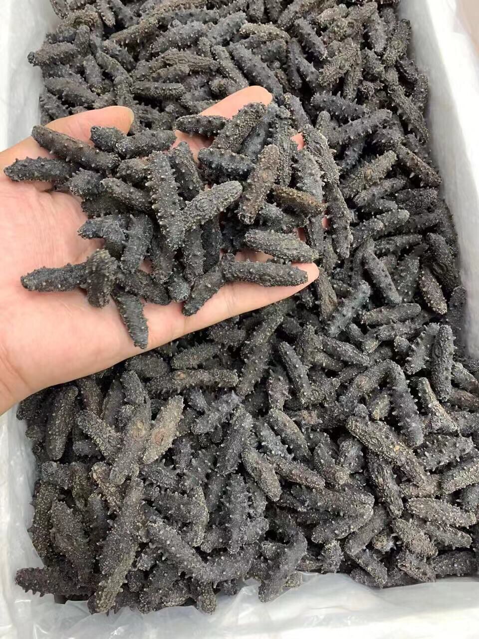 大连糖干海参-大连糖干海参厂家,品牌,图片,热帖-阿里巴巴