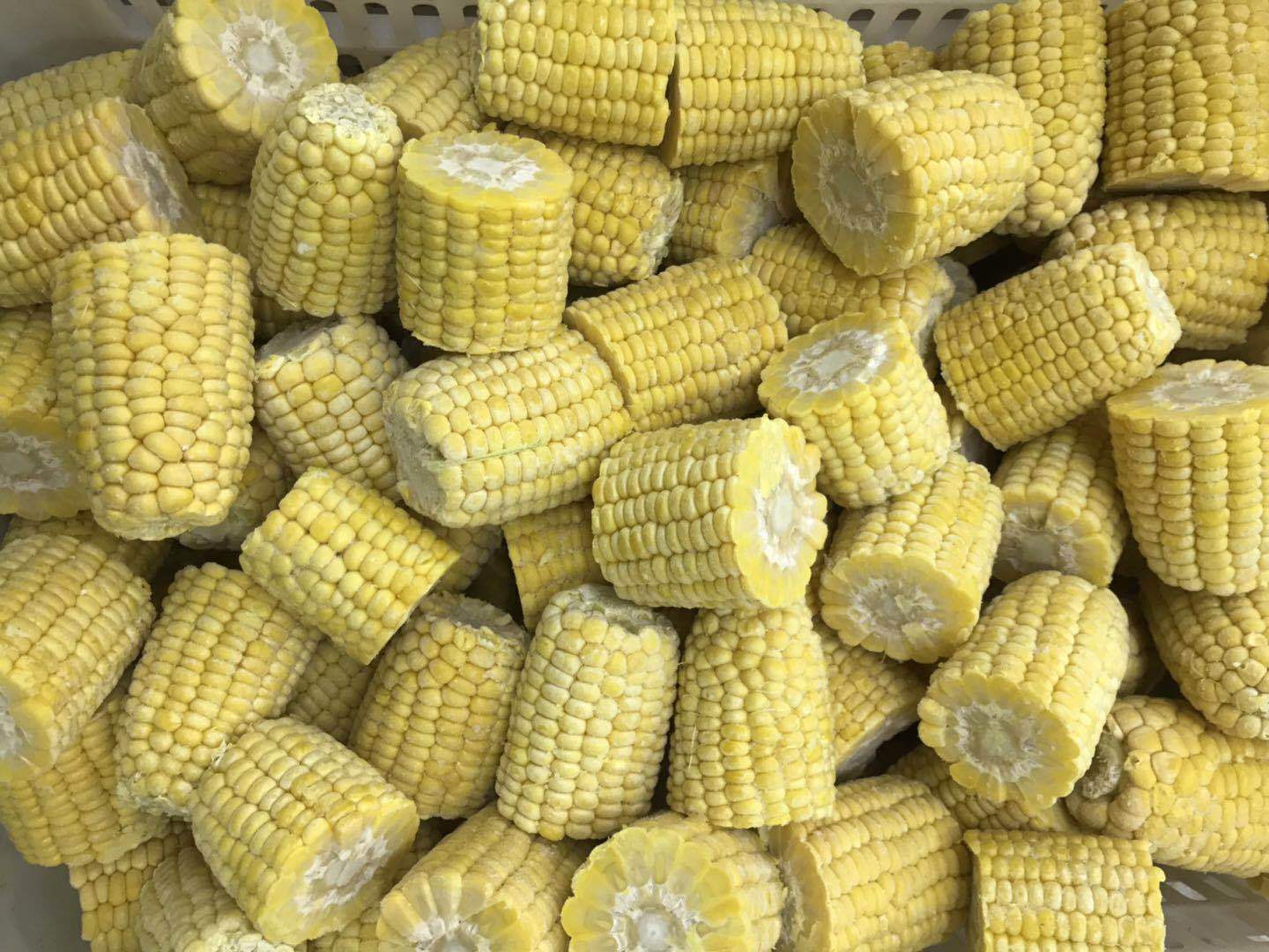 速冻冷冻甜玉米甜玉米段