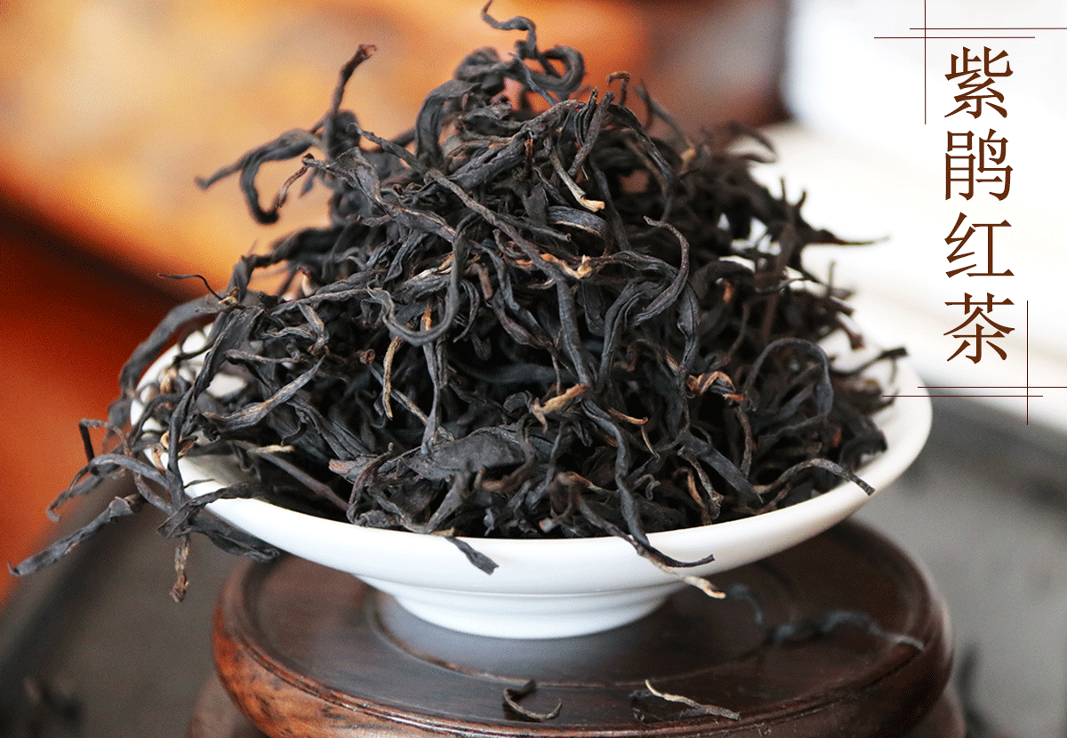 茶厂批发2021春云南滇红茶紫娟古大树紫鹃红茶浓郁花果香500g散装