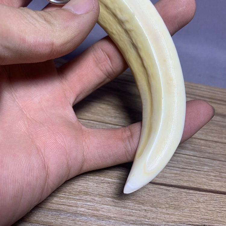 保真野猪獠牙吊坠手把件镶嵌镀银动物牙齿挂件辟邪保平安古玩文玩