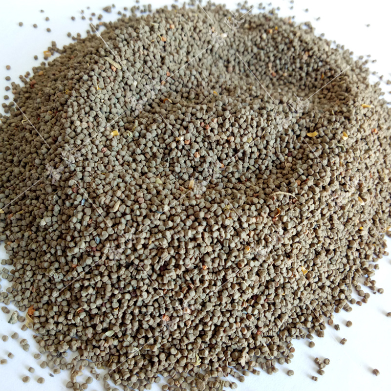 威尔种子批发 野生面条菜种子 散装500g 特色野菜籽 味道美成熟快