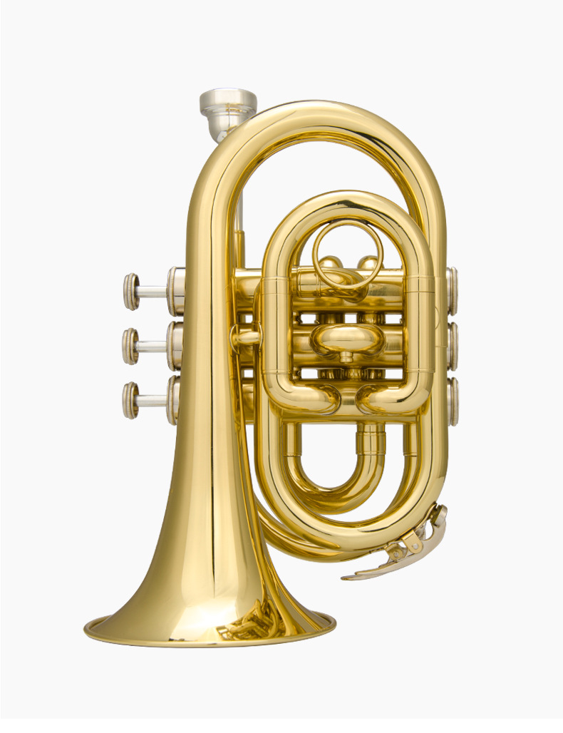 音乐乐器产地大陆表面处理漆金调性降b包装原装箱规格手掌号型号jzmt