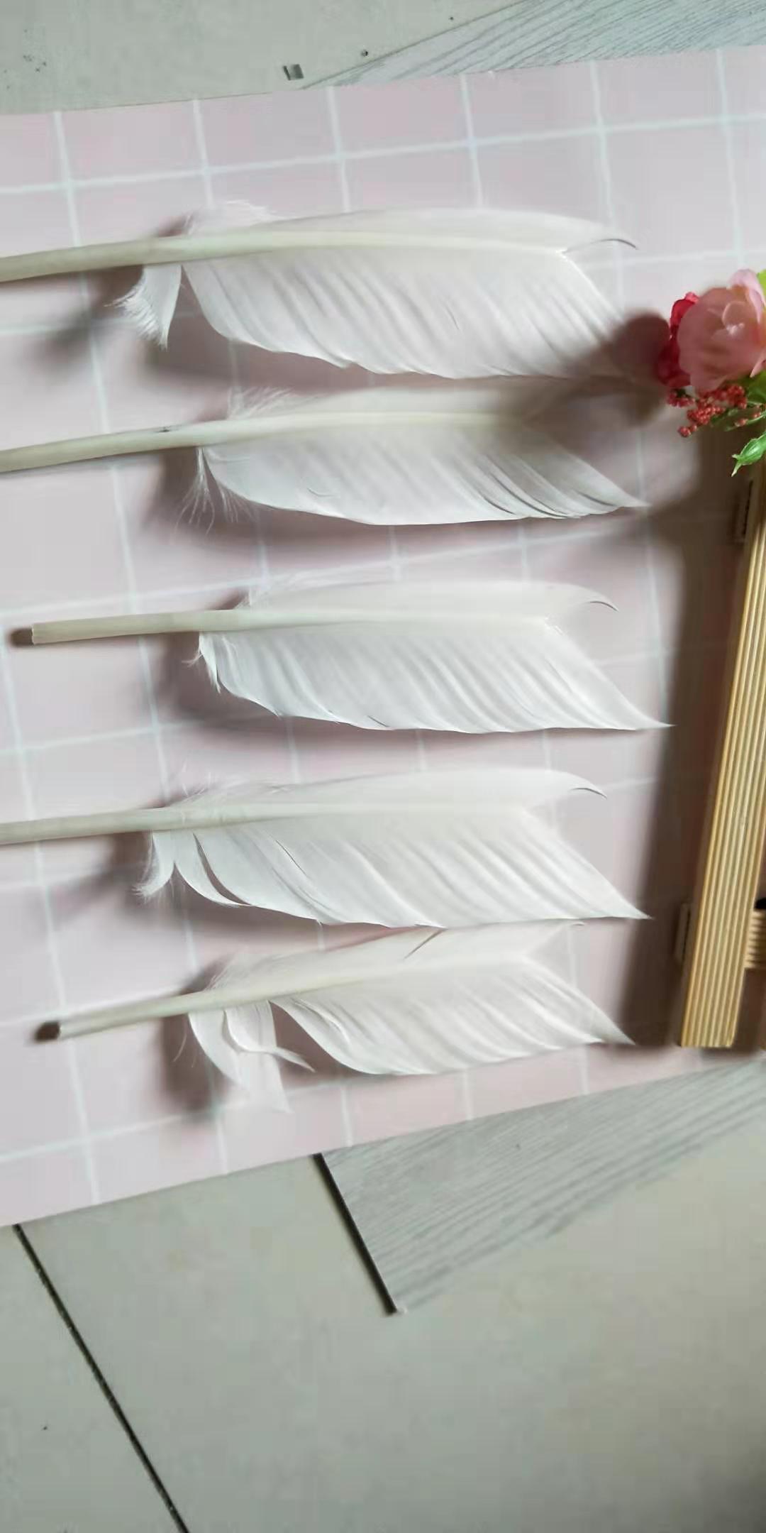 厂家直销真羽毛木箭传统弓真羽箭木箭真羽道具箭支影视道具箭仿古