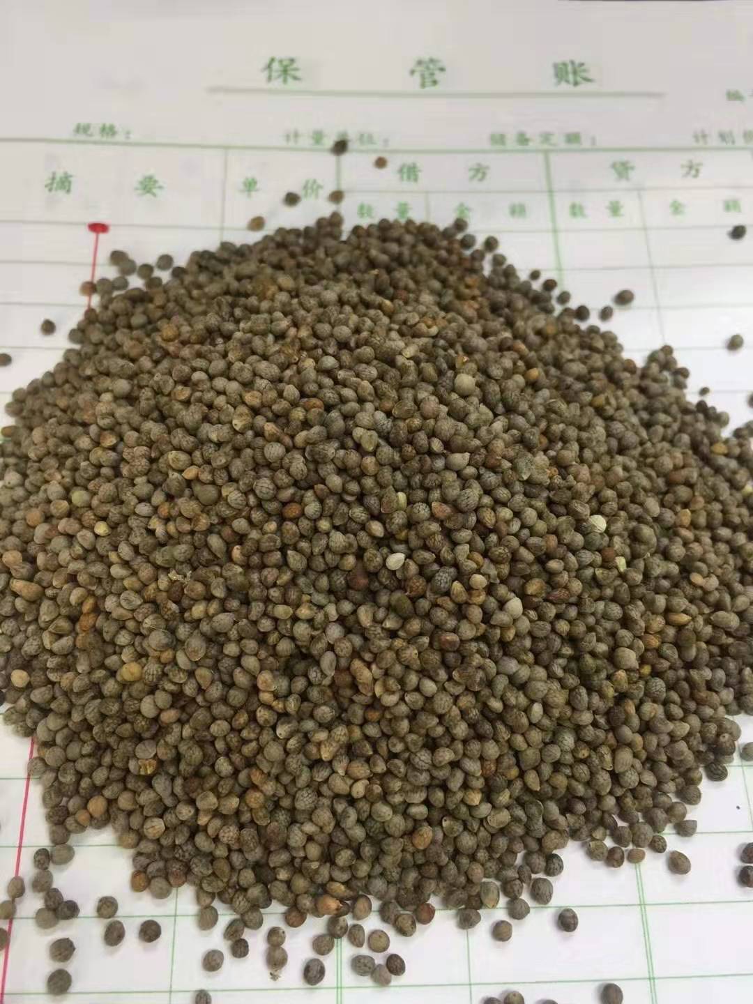 灰苏子 苏麻月饼馅料大货批发 苏籽一件代发