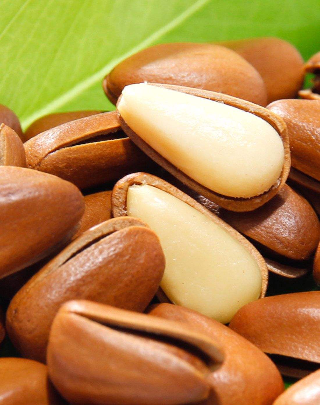 新货东北松子原味松子250g开口松子灌装