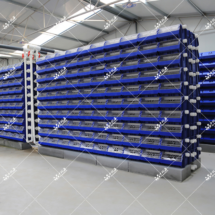 循环水螃蟹养殖设备 立体养殖 室内养殖 中科海 蟹公寓