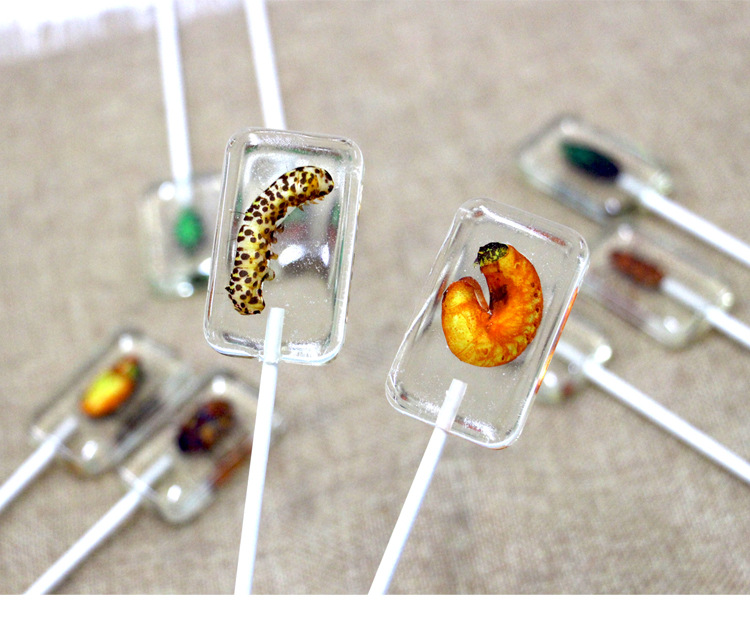 创意星空虫子糖昆虫棒棒糖网红抖音糖琥珀糖日本食玩小零食批发