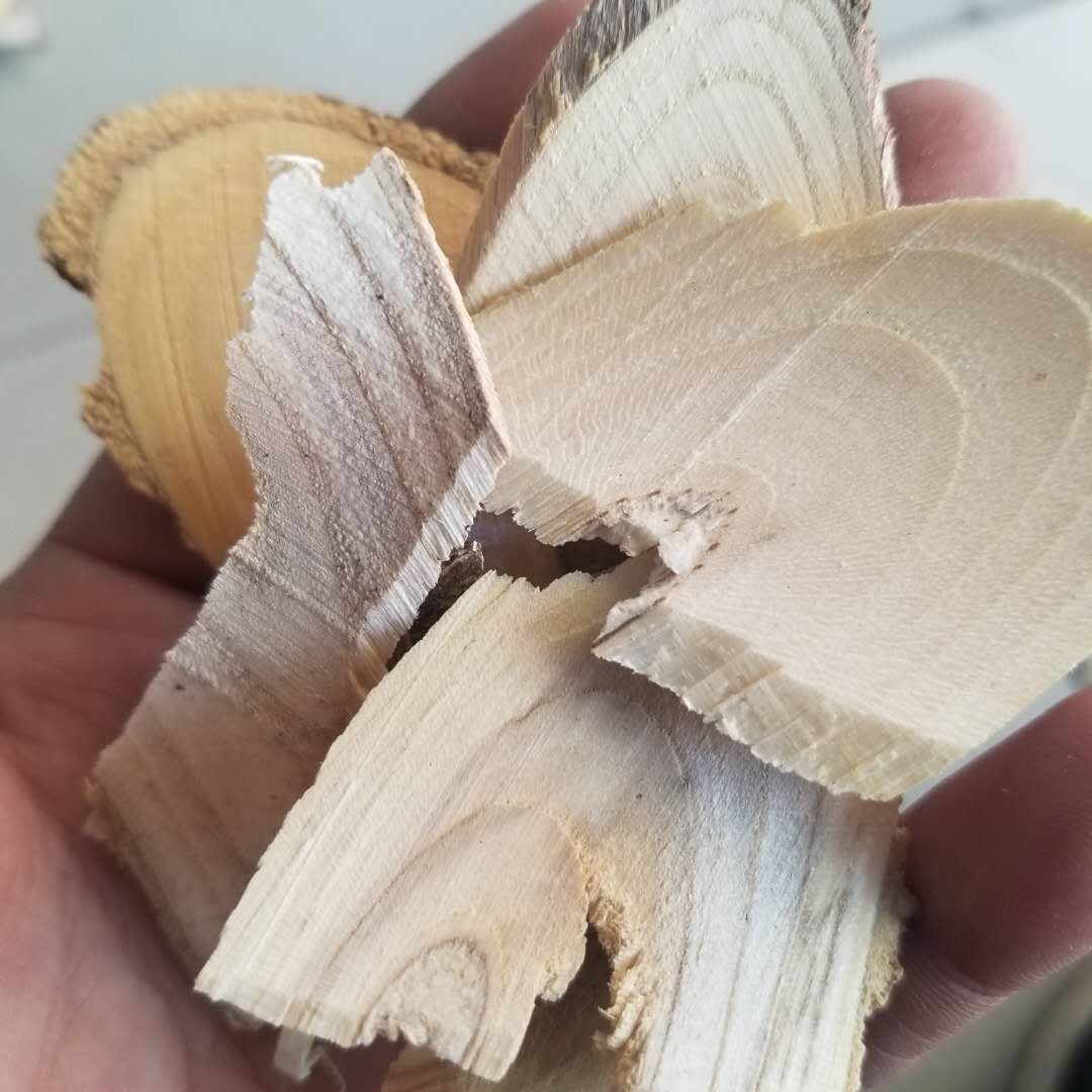 中药材山大颜 九节木 大罗伞 火筒树 盘筒 山大刀